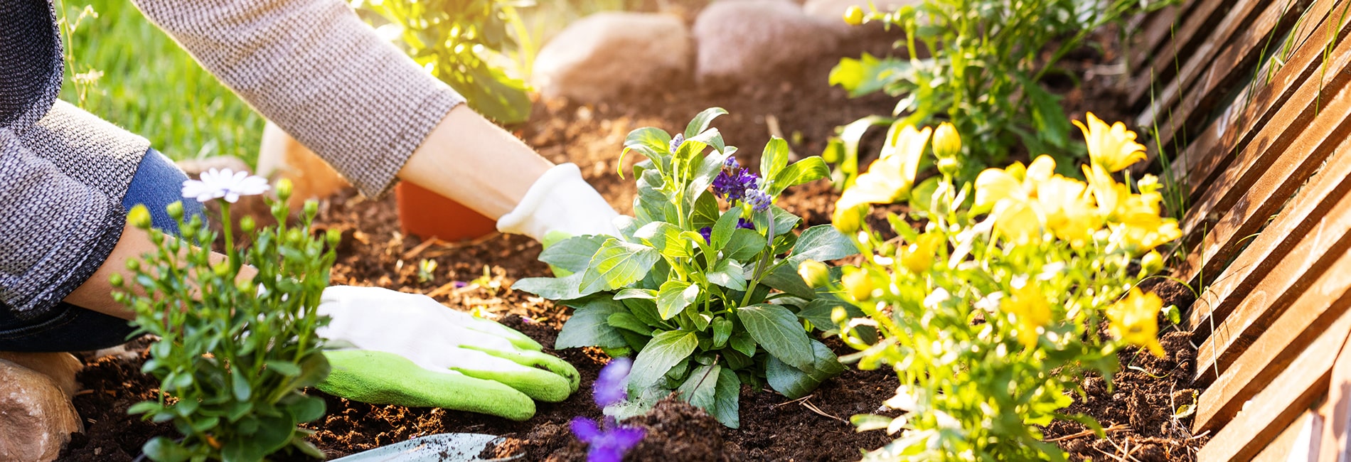 Ways to smarten up your garden before putting it on the market