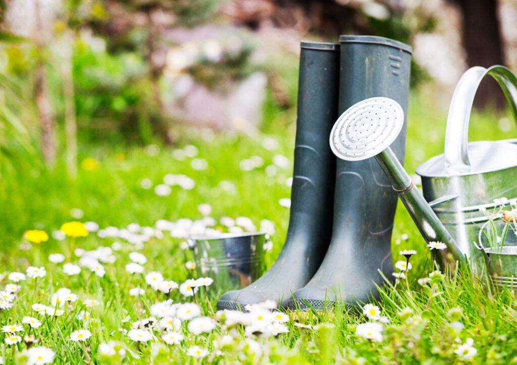 Spring Garden Tips