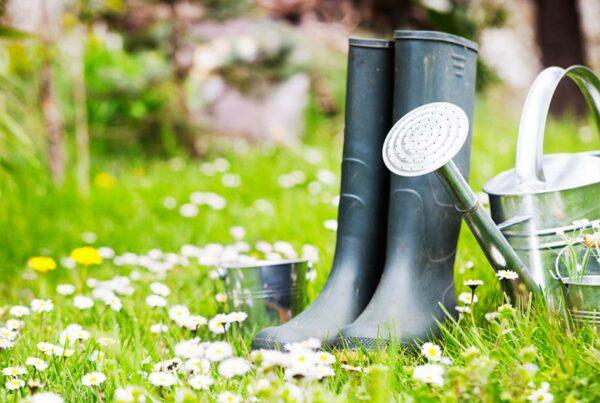 Spring Garden Tips