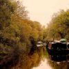 Canal Walks