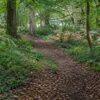 Where to see autumn colour